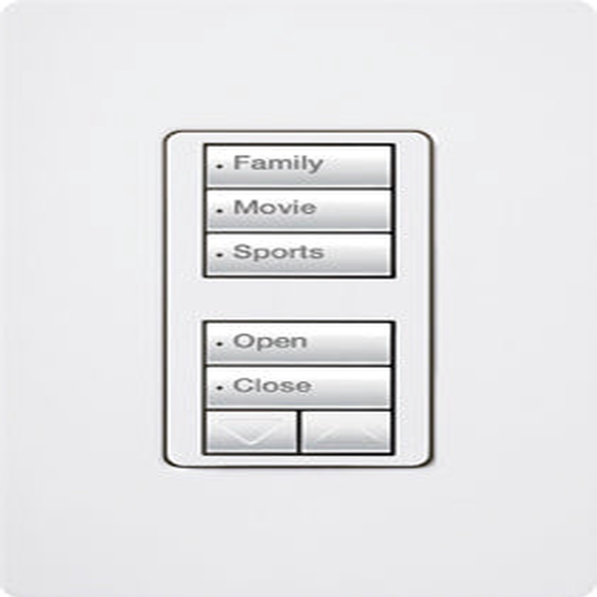 Lutron RadioRA 2 seeTouch Wall Keypad, Dual Group, 1 Raise/Lower, Palladium, RRD-W1RLD-PD